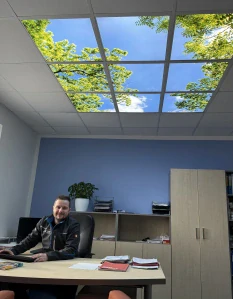 Dekorativní LED svítidlo - LED panel - motiv stromy - sada 9 panelů