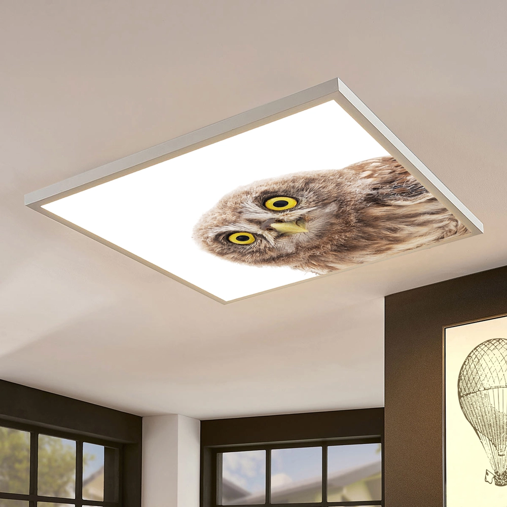 Dekorativní LED svítidlo - LED panel - motiv sova - stmívatelný