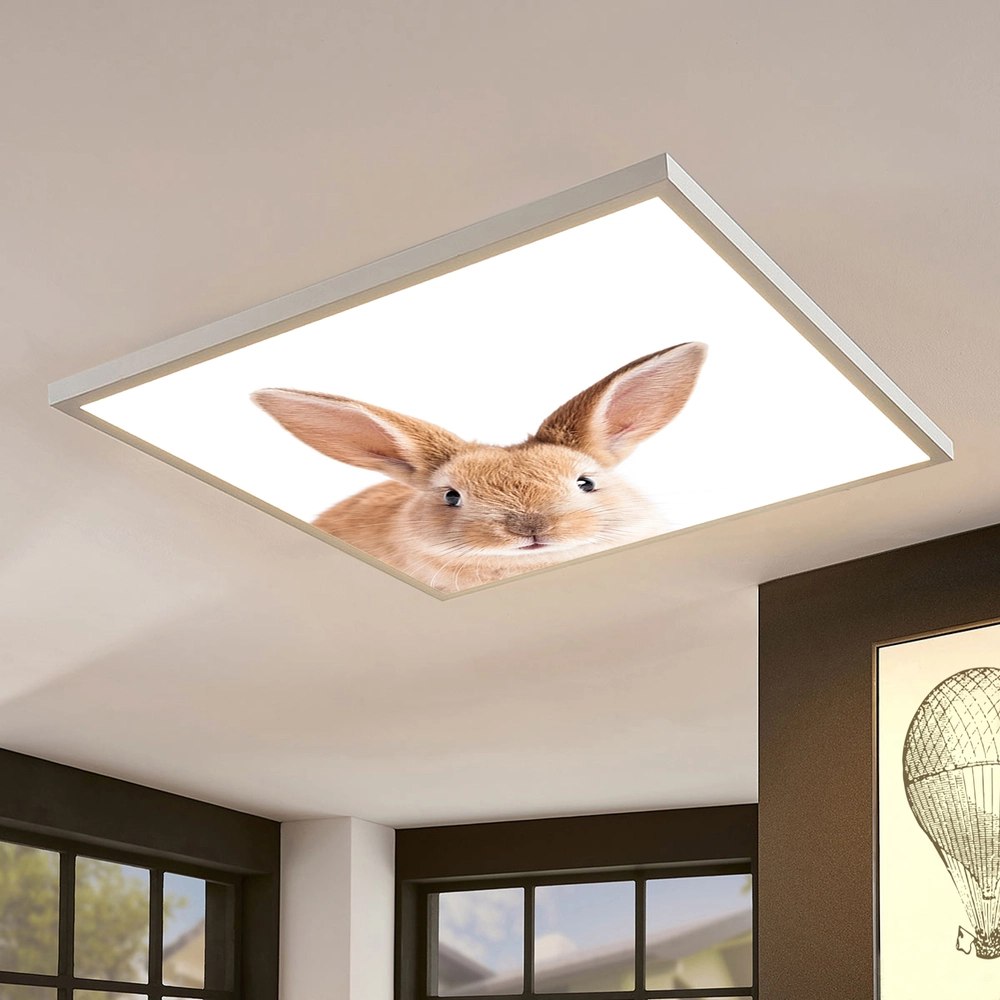 Dekorativní LED svítidlo - LED panel - motiv králík - stmívatelný