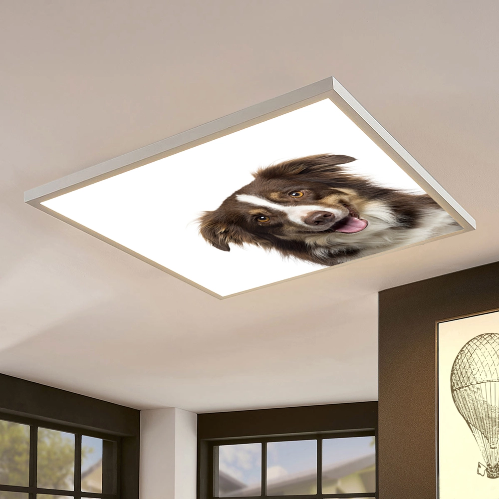 Dekorativní LED svítidlo - LED panel - motiv pes 2 - stmívatelný