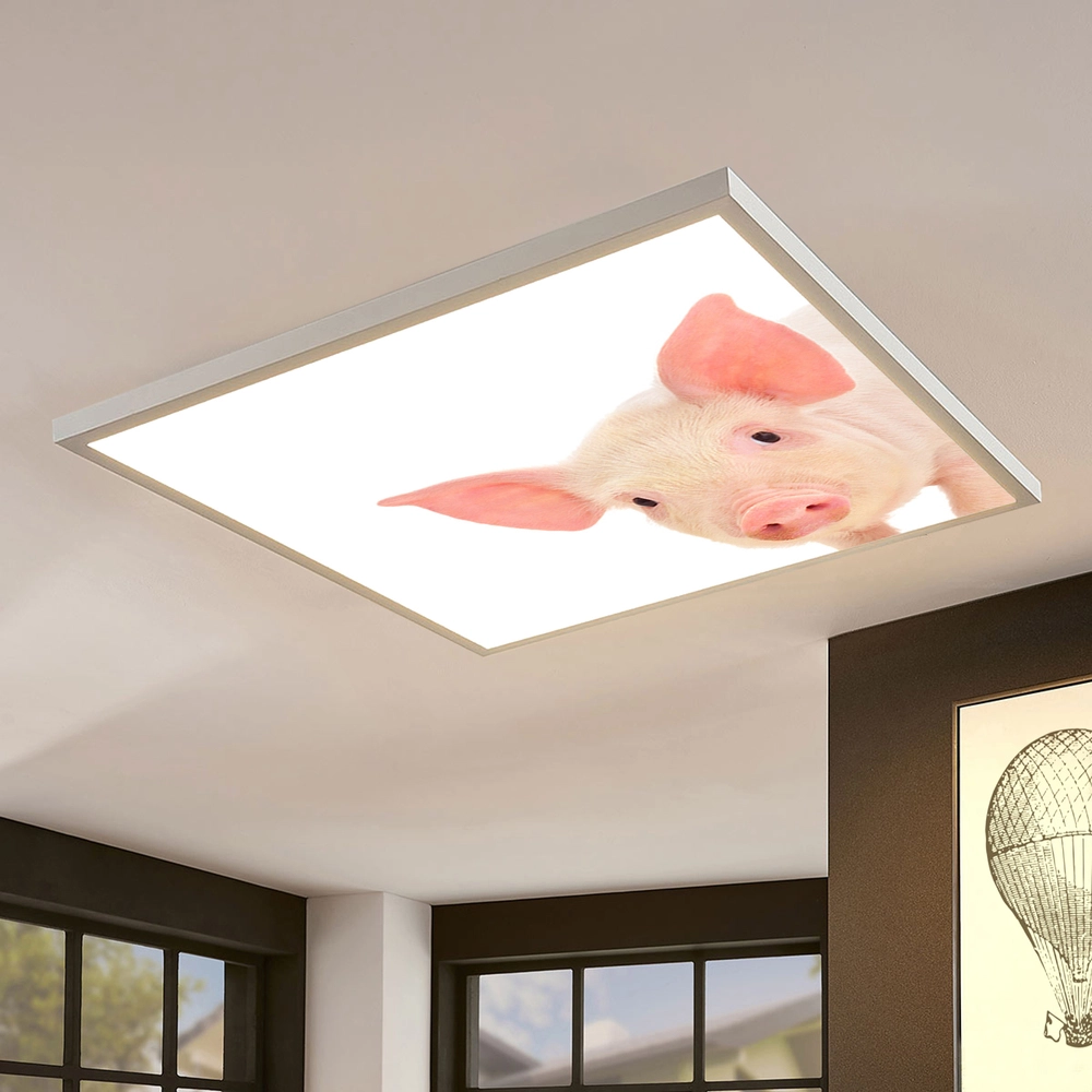 Dekorativní LED svítidlo - LED panel - motiv prasátko 