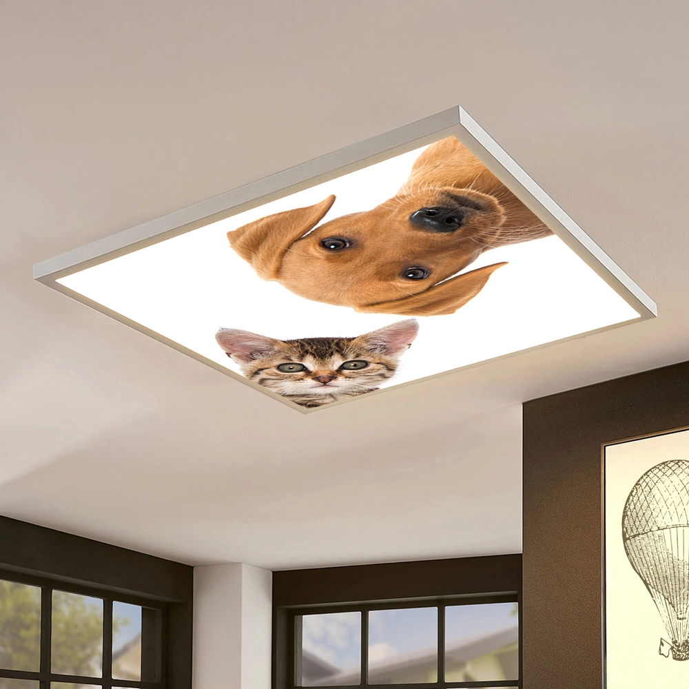 Dekorativní LED svítidlo - LED panel - motiv kočka a pes