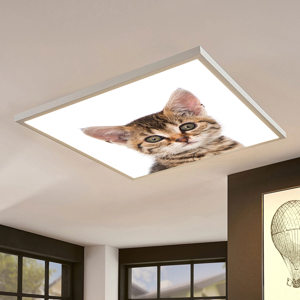 Dekorativní  LED svítidlo - LED panel - motiv kotě 