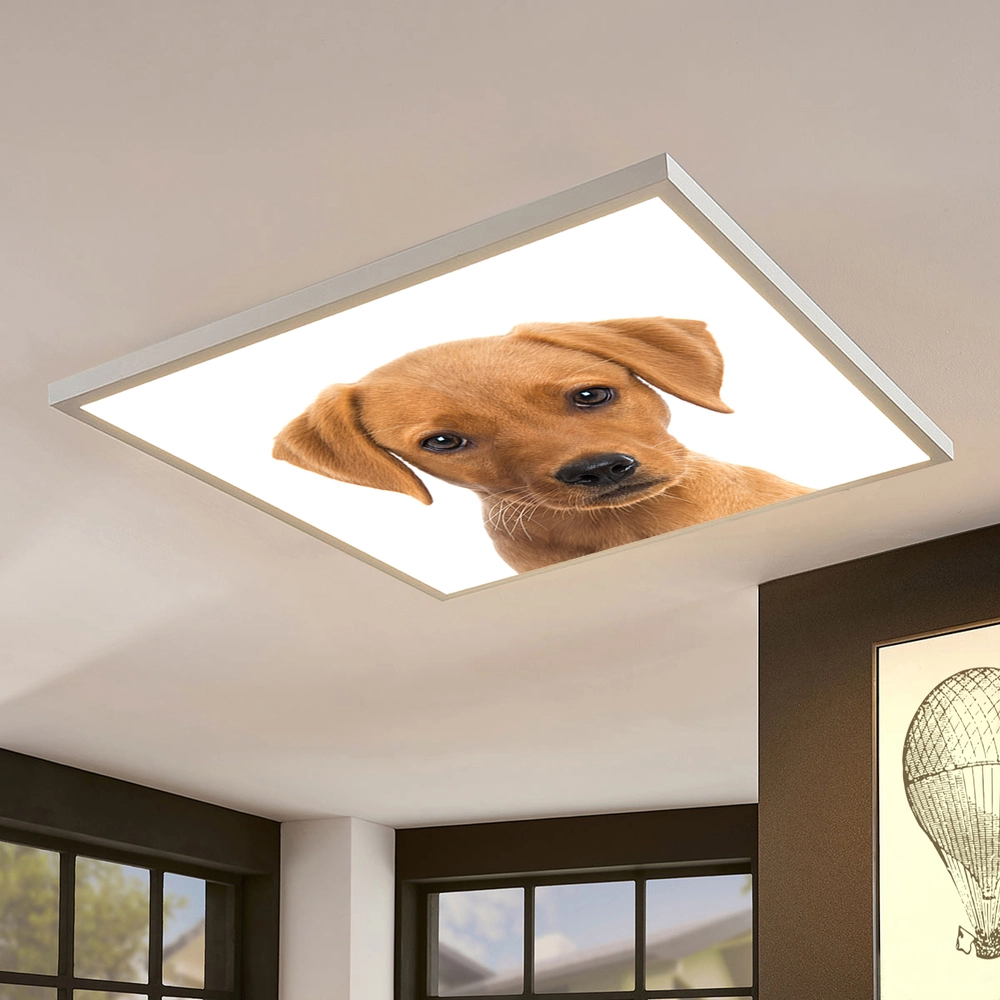 Dekorativní LED svítidlo - LED panel - motiv pes 3