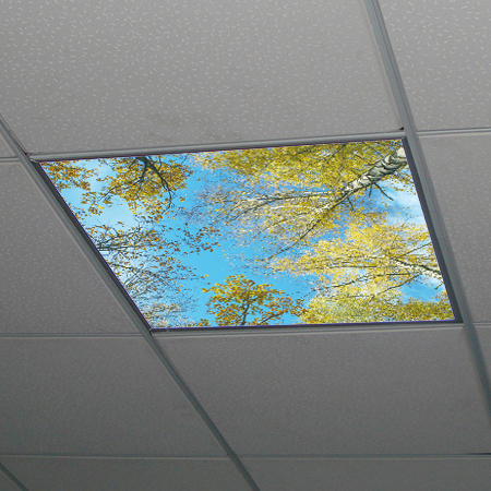 Dekorativní LED svítidlo - LED panel - motiv břízy