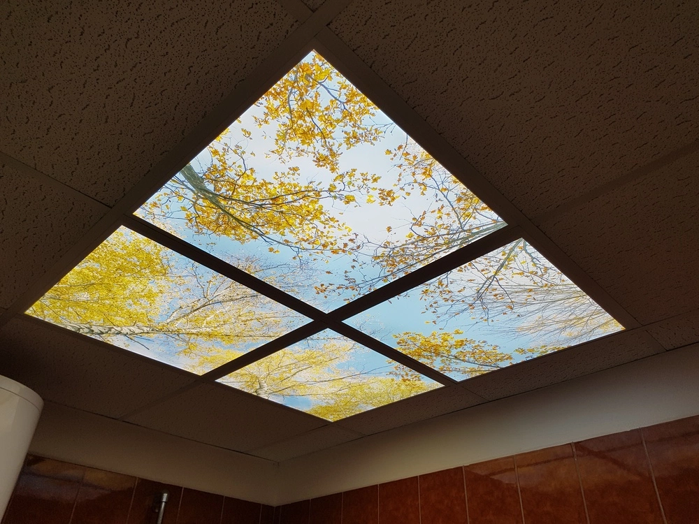 Dekorativní LED svítidlo - LED panel - motiv břízy - sada 4 panelů - AKCE