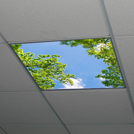 Dekorativní LED svítidlo - LED panel 60x60cm - motiv stromy