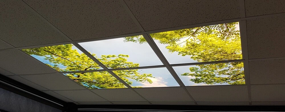 Dekorativní LED svítidlo - LED panel - motiv stromy - sada 6 panelů