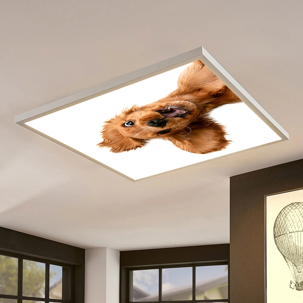 Dětské LED stropní svítidlo - motiv pes