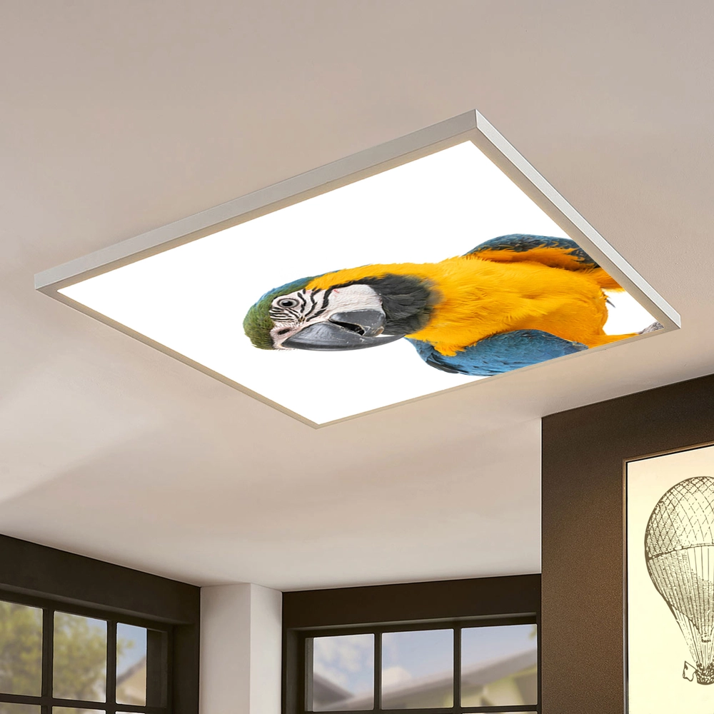 Dětské LED stropní svítidlo - motiv papoušek