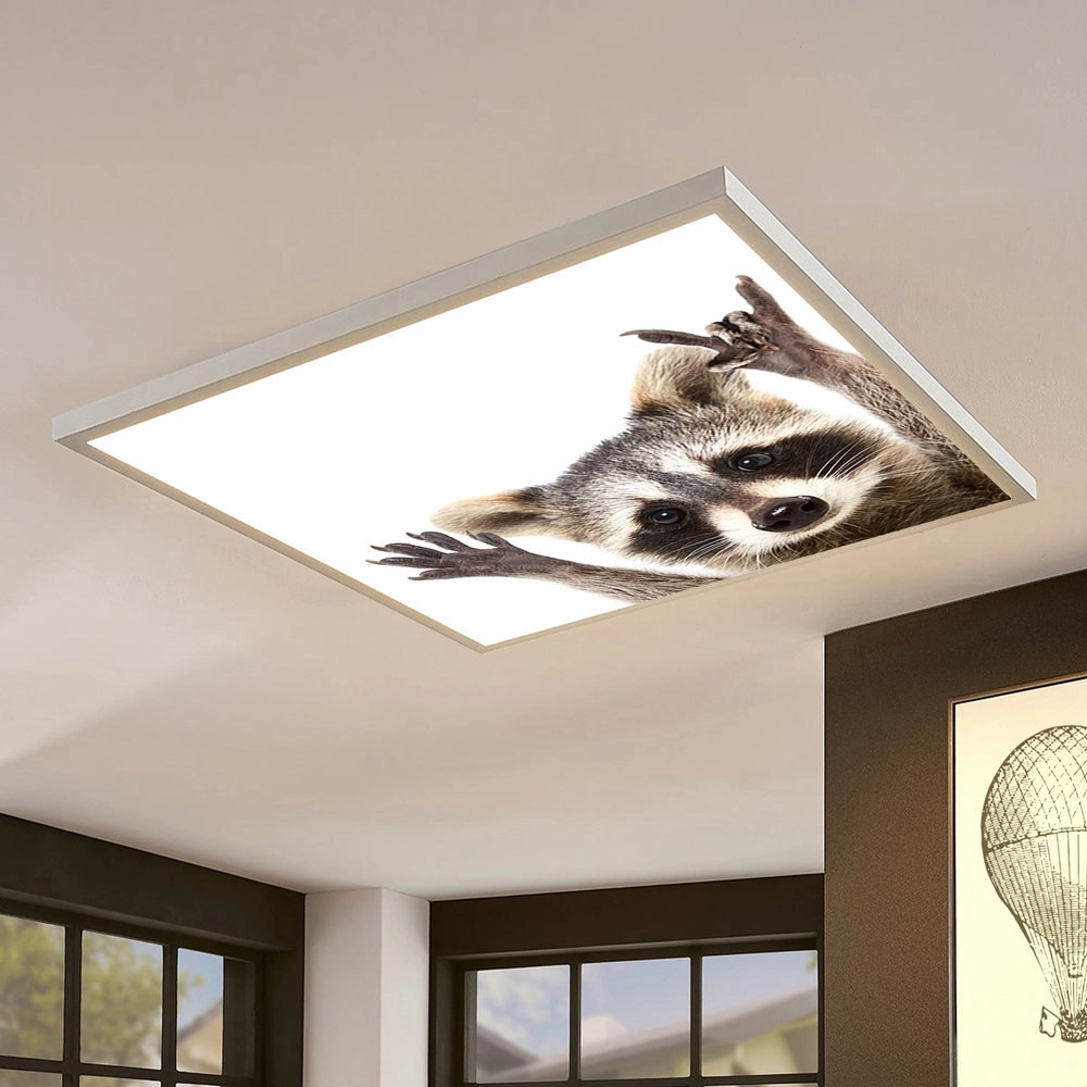 Dekorativní LED svítidlo - LED panel - motiv mýval