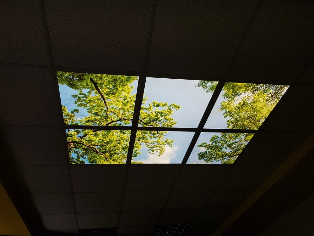 Dekorativní LED svítidlo - LED panel - motiv stromy - sada 6 panelů
