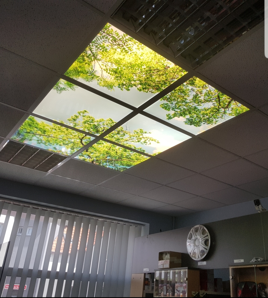 Dekorativní LED svítidlo - LED panel - motiv stromy - sada 6 panelů