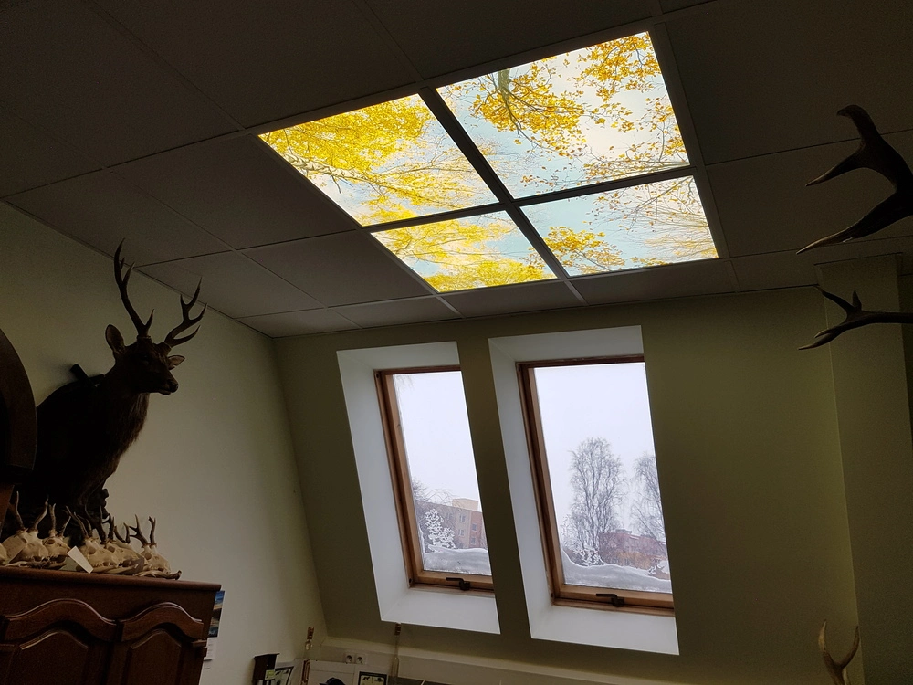 Dekorativní LED svítidlo - LED panel - motiv břízy - sada 4 panelů - AKCE