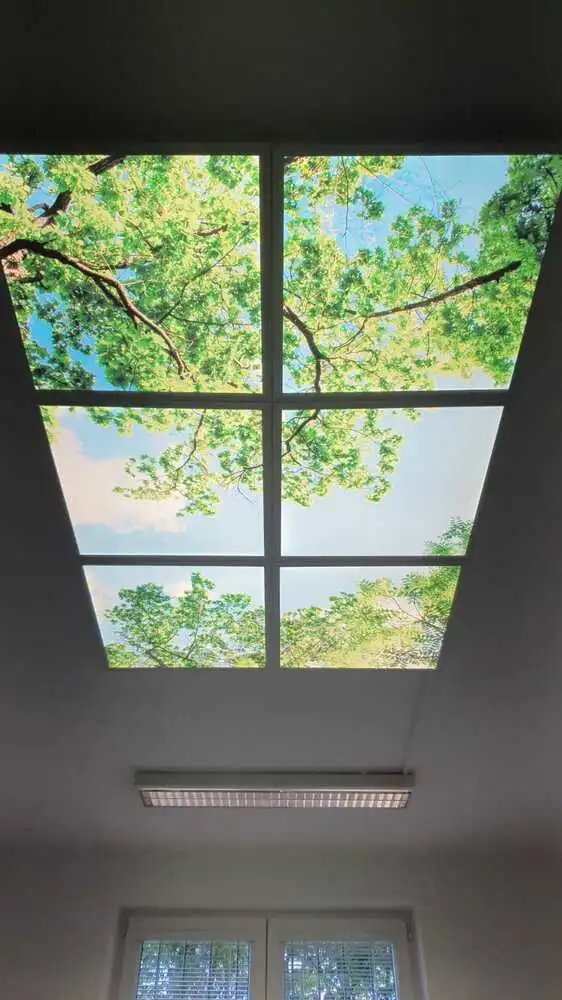 Dekorativní LED svítidlo - LED panel - motiv stromy - sada 6 panelů