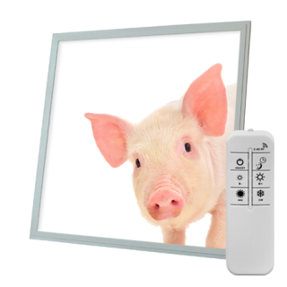 Dekorativní LED svítidlo - LED panel - motiv prasátko - stmívatelný