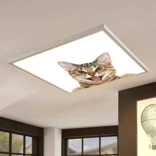Dětské LED stropní svítidlo - motiv kočka