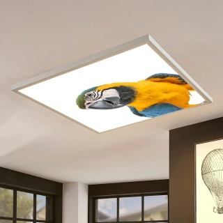 Dětské LED stropní svítidlo - motiv papoušek